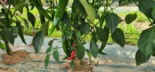 박종혁 님의 자유주제 · 자유게시판 작성글 사진