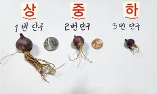 조한솔님의 작성글 사진