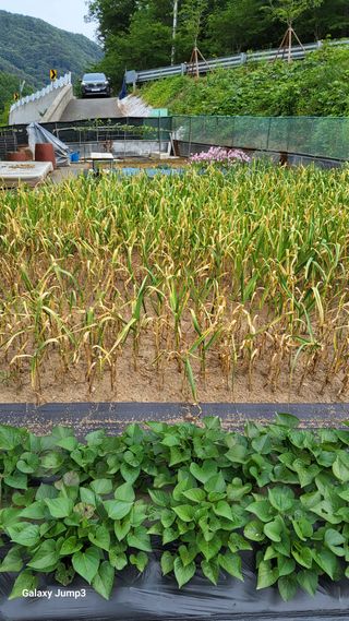 박기식 님의 자유주제 · 자유게시판 작성글 사진