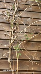 팜모닝 자유주제·자유게시판 게시글 이미지