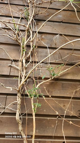 붉은바구 님의 자유주제 · 자유게시판 작성글 사진