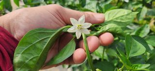 박종혁 님의 자유주제 · 자유게시판 작성글 사진