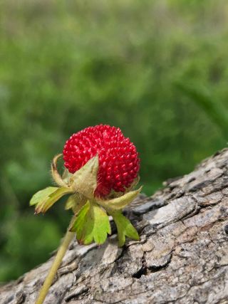 송진술♡ 수원♡님의 자유주제 · 자유게시판 작성글 사진