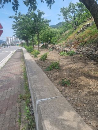 김용대님의 자유주제 · 자유게시판 작성글 사진