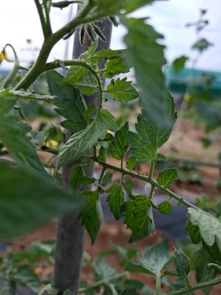 삼태성님의 자유주제 · 자유게시판 작성글 사진