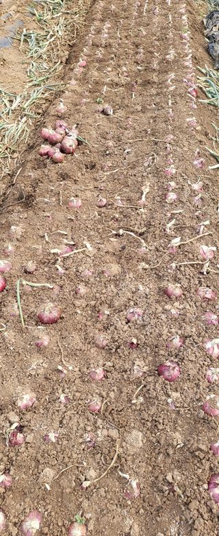 오이4915님의 자유주제 · 자유게시판 작성글 사진