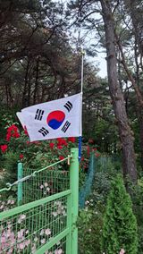 팜모닝 자유주제·자유게시판 게시글 이미지