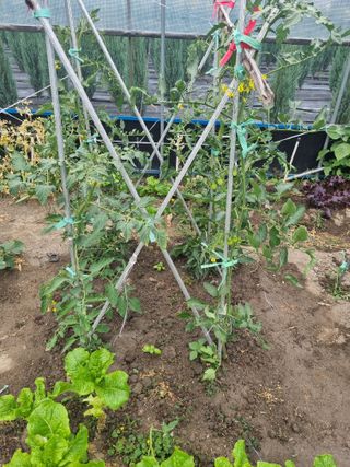 연산나무농장님의 자유주제 · 자유게시판 작성글 사진