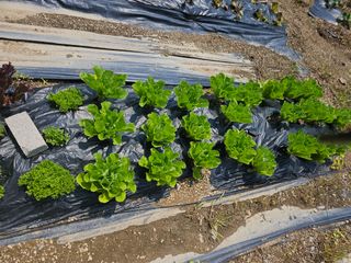 정재남님의 자유주제 · 자유게시판 작성글 사진