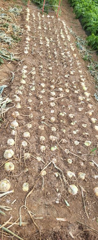 오이4915님의 자유주제 · 자유게시판 작성글 사진