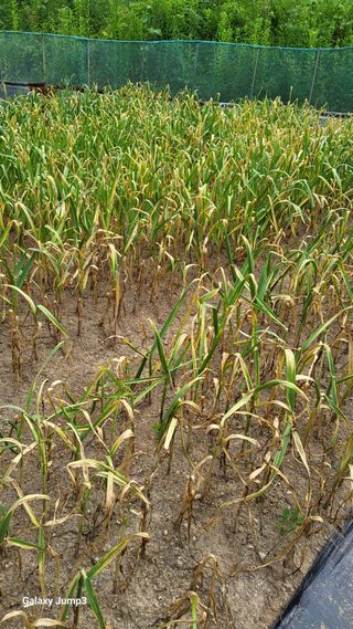 박기식 님의 자유주제 · 자유게시판 작성글 사진