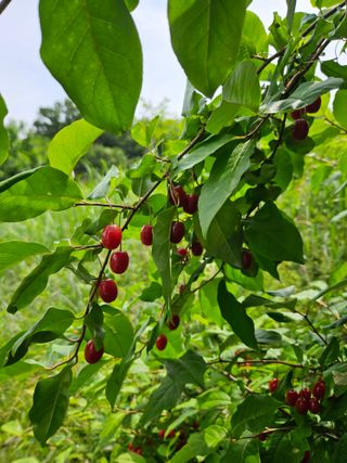 송진술♡ 수원♡님의 자유주제 · 자유게시판 작성글 사진