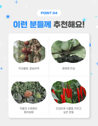 대산농사대장님의 작성글 사진