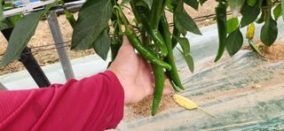 박종혁 님의 자유주제 · 자유게시판 작성글 사진