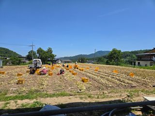 최광명님의 자유주제 · 자유게시판 작성글 사진