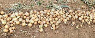 오이4915님의 자유주제 · 자유게시판 작성글 사진