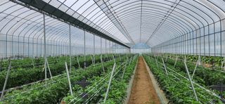 박종혁 님의 자유주제 · 자유게시판 작성글 사진