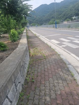 김용대님의 자유주제 · 자유게시판 작성글 사진