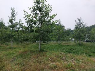 시골살이님의 자유주제 · 자유게시판 작성글 사진