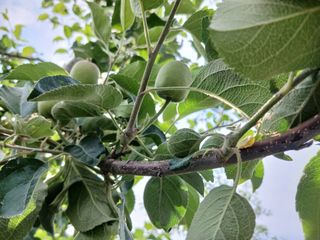 알 수 없음님의 자유주제 · 자유게시판 작성글 사진