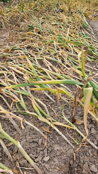 배성은365님의 자유주제 · 자유게시판 작성글 사진