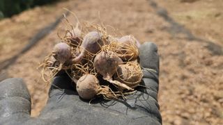 조한솔님의 작성글 사진