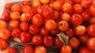 정미리님의 자유주제 · 자유게시판 작성글 사진