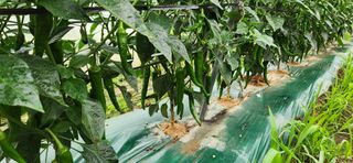 박종혁 님의 자유주제 · 자유게시판 작성글 사진