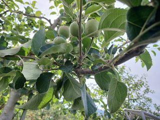 알 수 없음님의 자유주제 · 자유게시판 작성글 사진