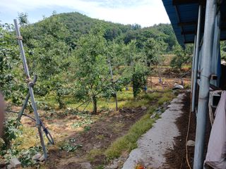 알 수 없음님의 자유주제 · 자유게시판 작성글 사진
