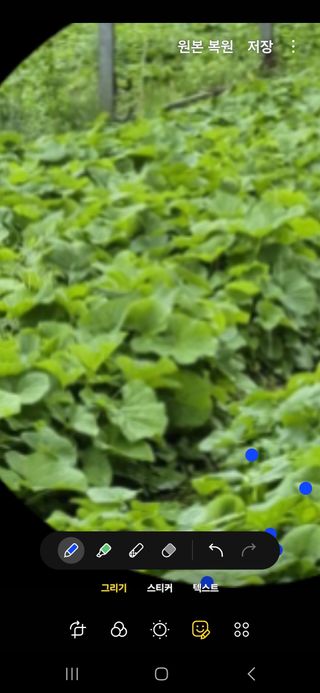 병풍취산채농원님의 자유주제 · 자유게시판 작성글 사진