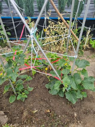 연산나무농장님의 자유주제 · 자유게시판 작성글 사진