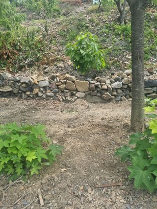 김용대님의 자유주제 · 자유게시판 작성글 사진