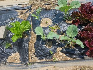 정재남님의 자유주제 · 자유게시판 작성글 사진