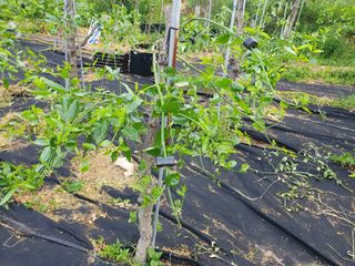 한상동님의 자유주제 · 자유게시판 작성글 사진