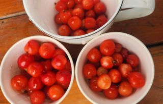 정미리님의 자유주제 · 자유게시판 작성글 사진