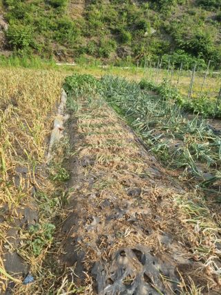 감20280님의 자유주제 · 사진전 작성글 사진