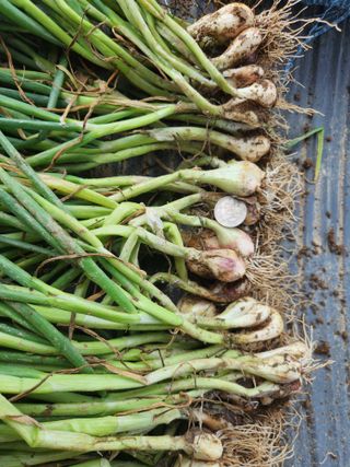 장안님의 작성글 사진