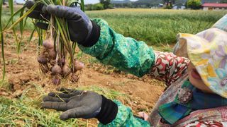 조한솔님의 작성글 사진