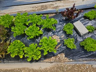 정재남님의 자유주제 · 자유게시판 작성글 사진