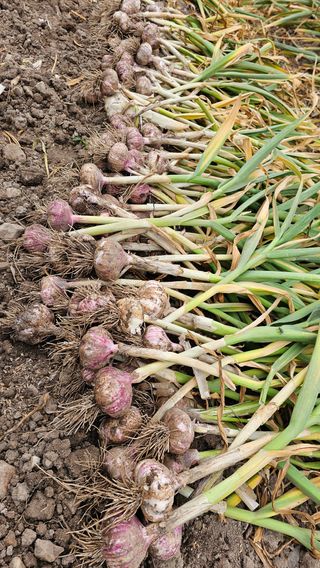 배성은365님의 자유주제 · 자유게시판 작성글 사진