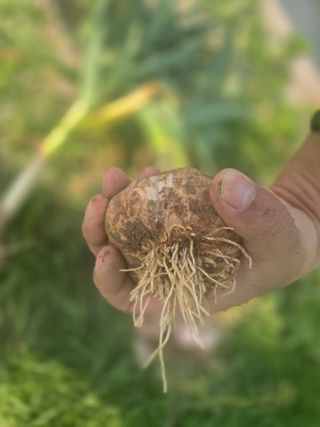 최광명님의 자유주제 · 자유게시판 작성글 사진