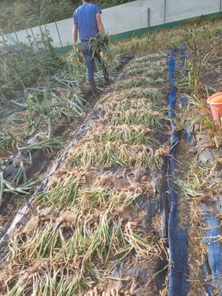 감20280님의 자유주제 · 사진전 작성글 사진