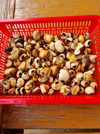 이상응님의 자유주제 · 자유게시판 작성글 사진