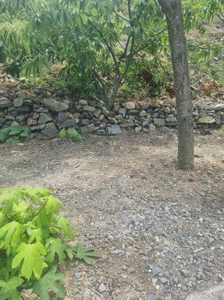 김용대님의 자유주제 · 자유게시판 작성글 사진