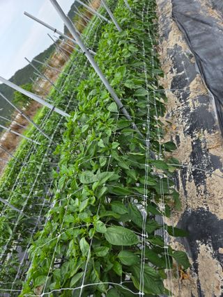 정연순님의 자유주제 · 자유게시판 작성글 사진