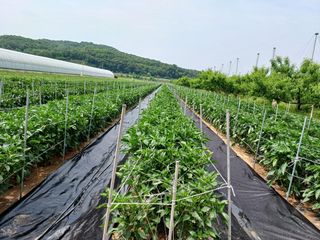 이창우님의 자유주제 · 자유게시판 작성글 사진