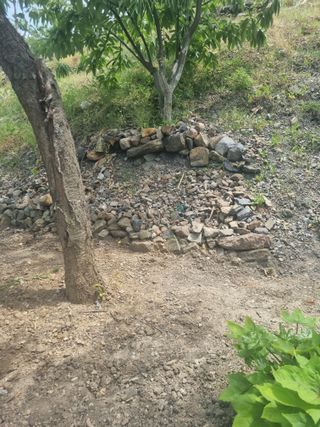 김용대님의 자유주제 · 자유게시판 작성글 사진