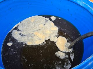 고추농사 정 미라님의 자유주제 · 자유게시판 작성글 사진