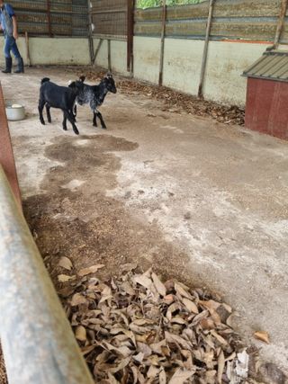 감20280님의 자유주제 · 사진전 작성글 사진